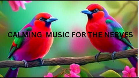 SOOTHING CALMING MUSIC TO RELAX YOUR NERVES WITH BIRDS SINGING ALONG