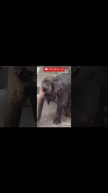 Quer uma ajuda ai! - Quer conhecer algo interessante? Na Descrição: #shorts