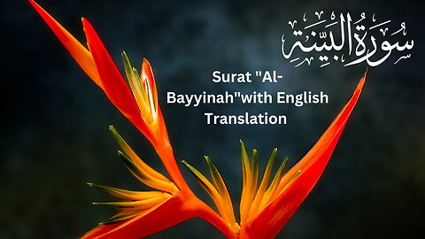 Surat Al-Bayyinah by Misharay Rashid Alafasy with English Translation