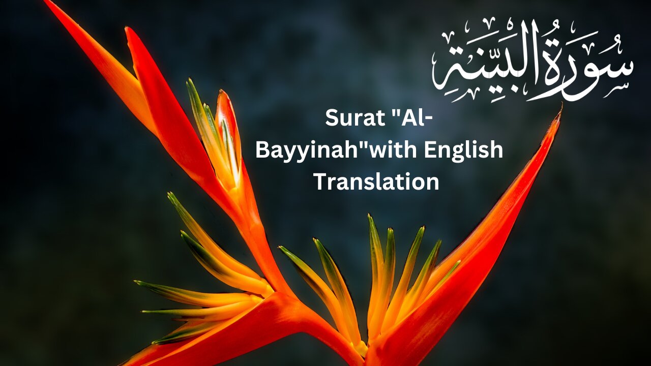 Surat Al-Bayyinah by Misharay Rashid Alafasy with English Translation