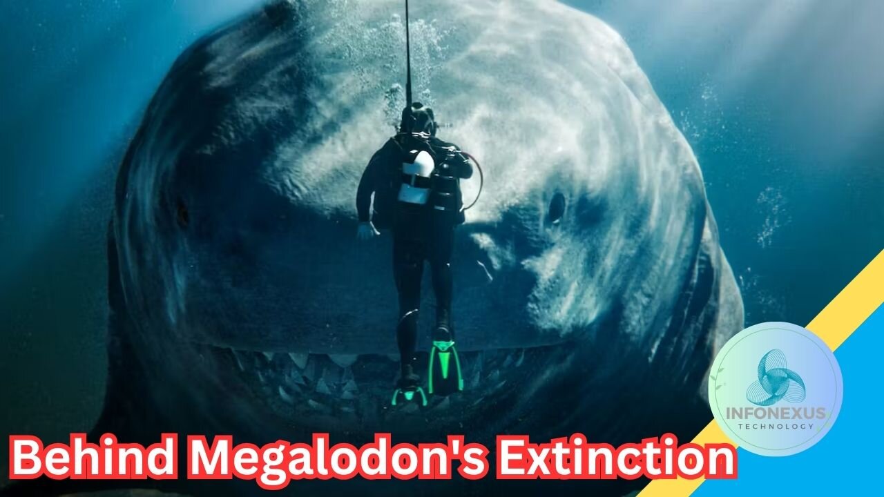 Scientists Unravel the Mystery Behind Megalodon's Extinction