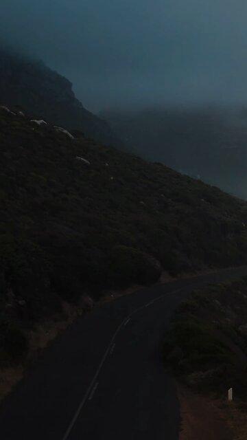 Steve Harvey- Peoples opinions