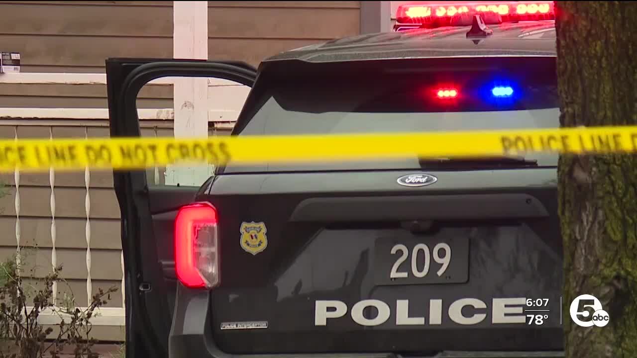 Public Safety Director confirms internal investigation in Carly Capek case