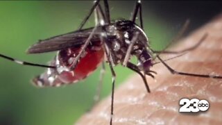 Fall mosquito season brings risk of West Nile virus to Kern County