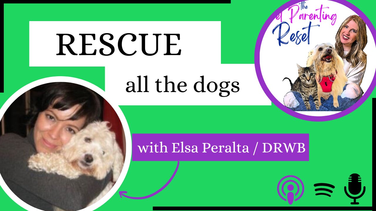 The Other Side Of Rescue with Elsa Peralta from Dog Rescue Without Borders