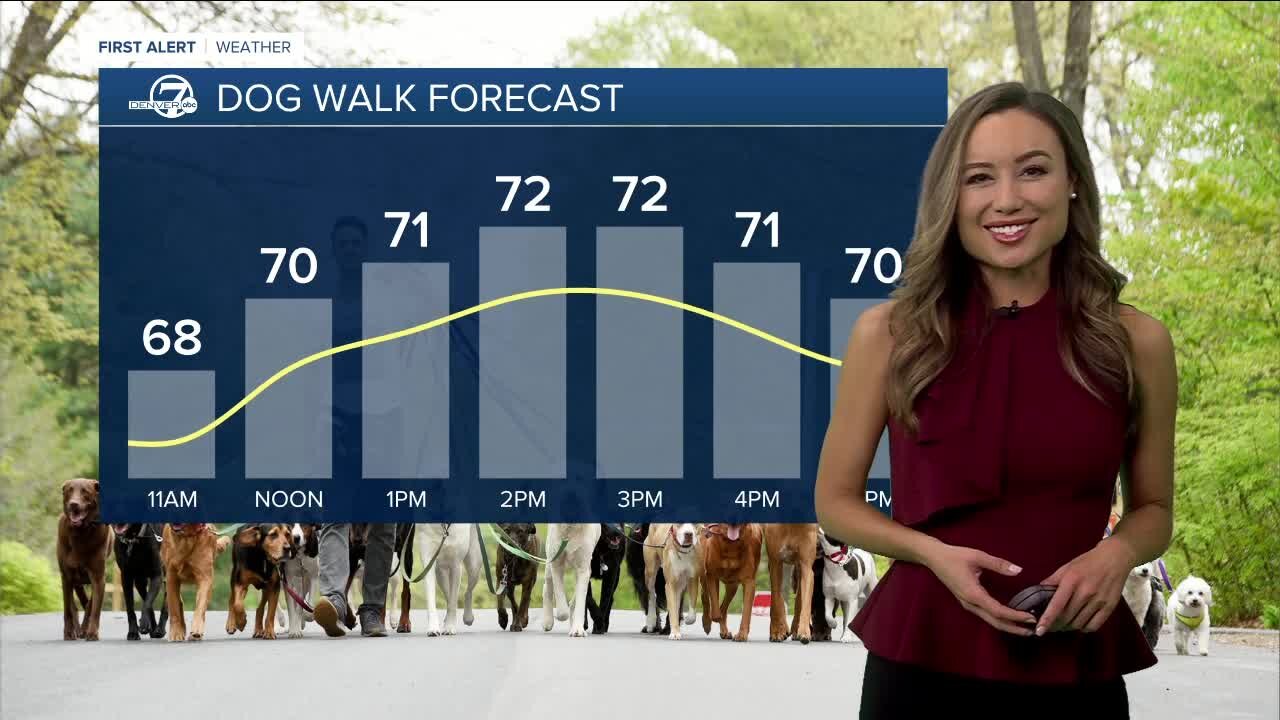 Cooler and breezy Saturday