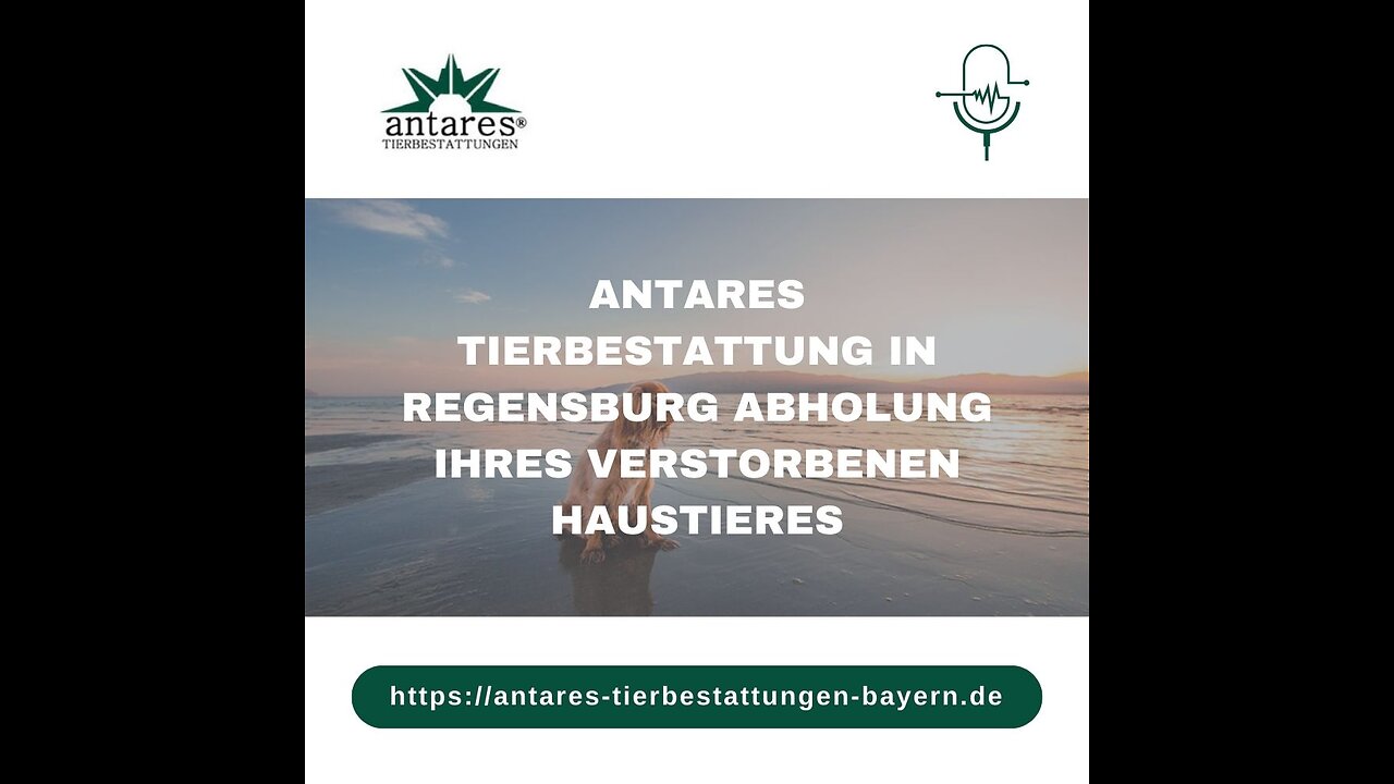 Antares Tierbestattung in Regensburg Abholung Ihres verstorbenen Haustieres