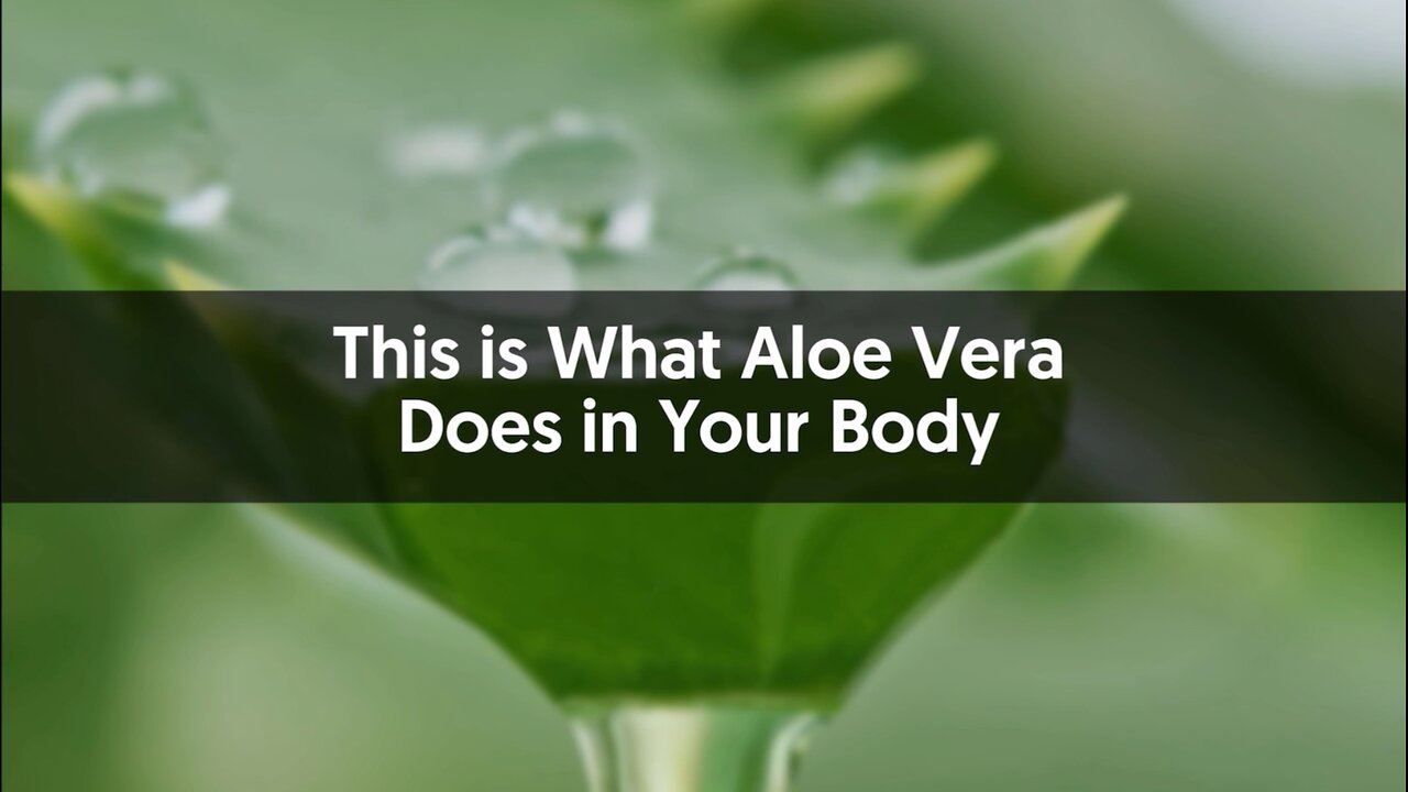 What Aloe Vera Does in Your Body