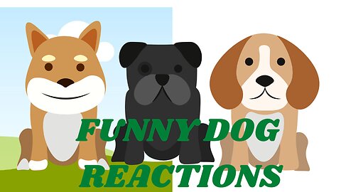 Funny dog reactions