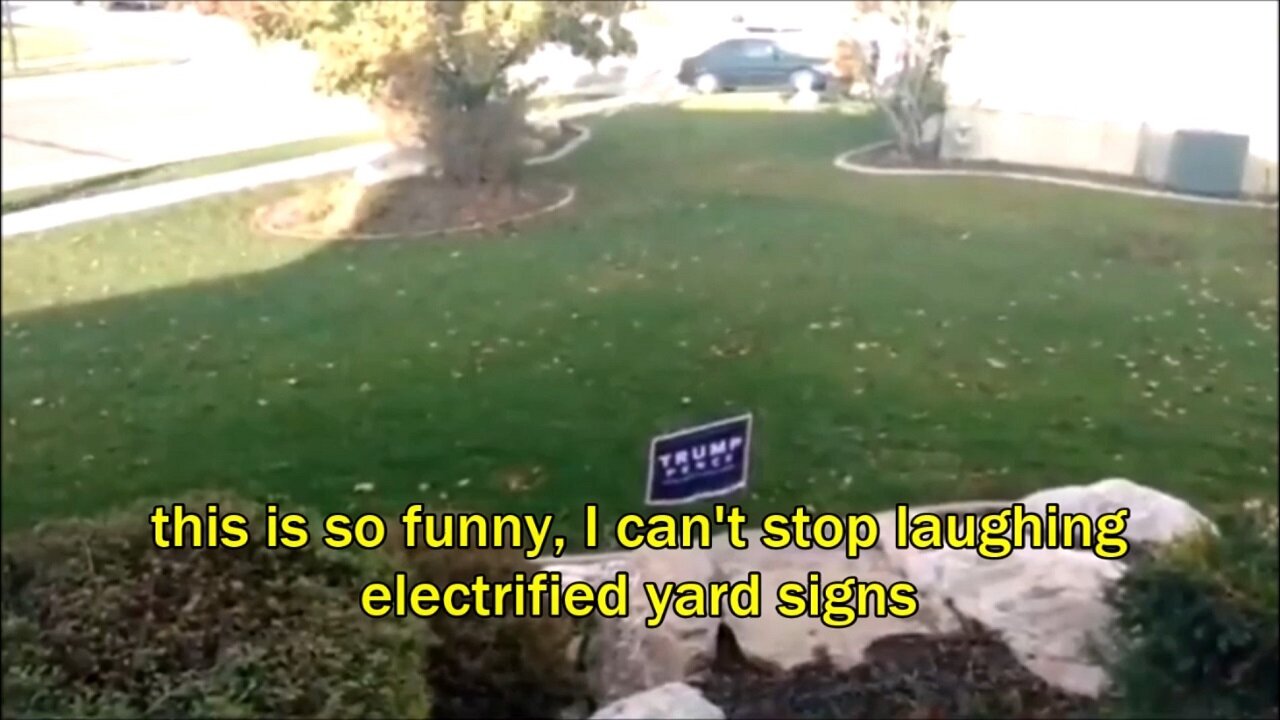 this is so funny, I can't stop laughing - electrified yard signs