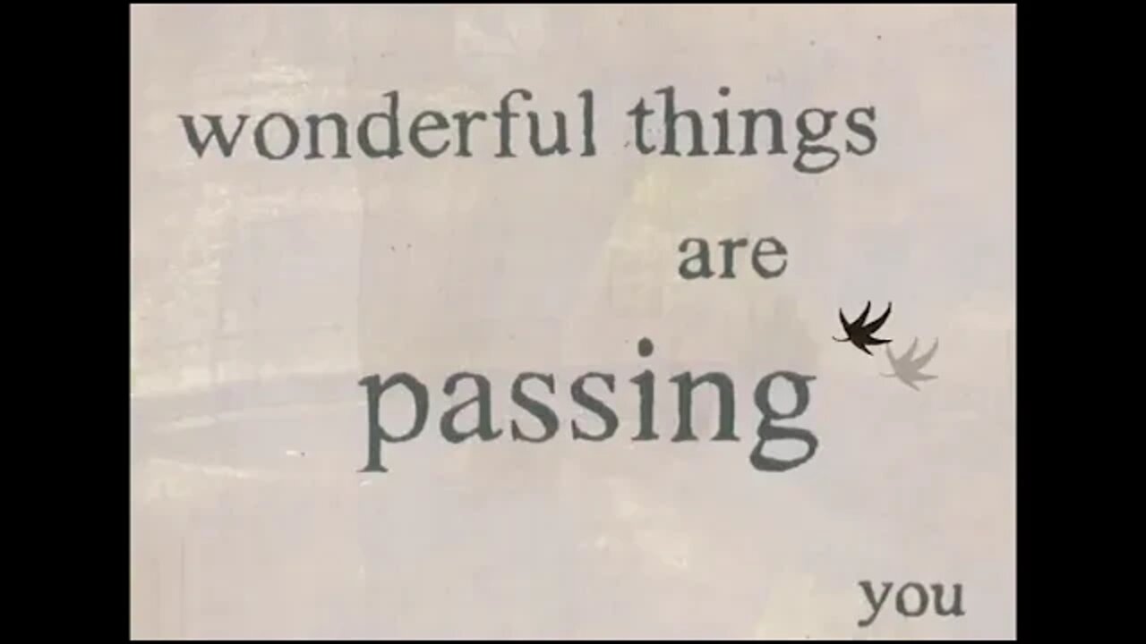 VLOG 7: Becoming WHOLE will help with fear, codependency and compassion fatigue.