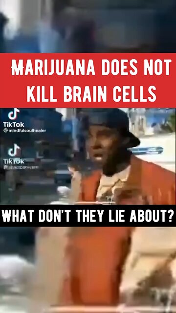 Marijuana does not kill brain cells