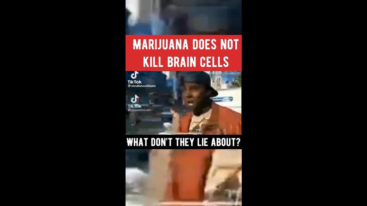 Marijuana does not kill brain cells