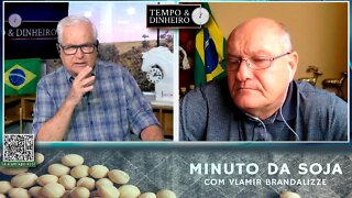 Milho dispara em Chicago e tras oportunidades a Safrinha