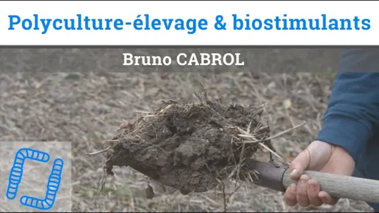 Polyculture-élevage et bio-stimulants dans le Tarn, avec Bruno Cabrol