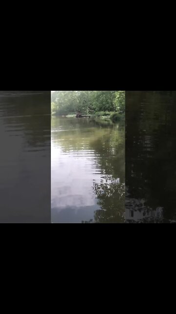 HUGE smallmouth while fishing an Ohio Creek