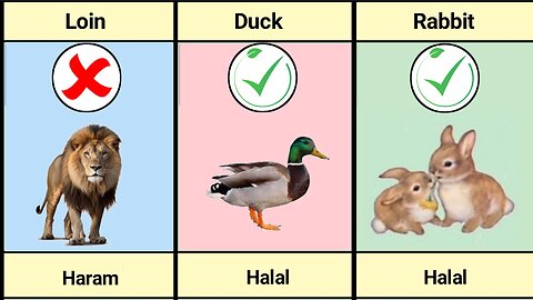 Halal and Haram Animals meat in Islam.