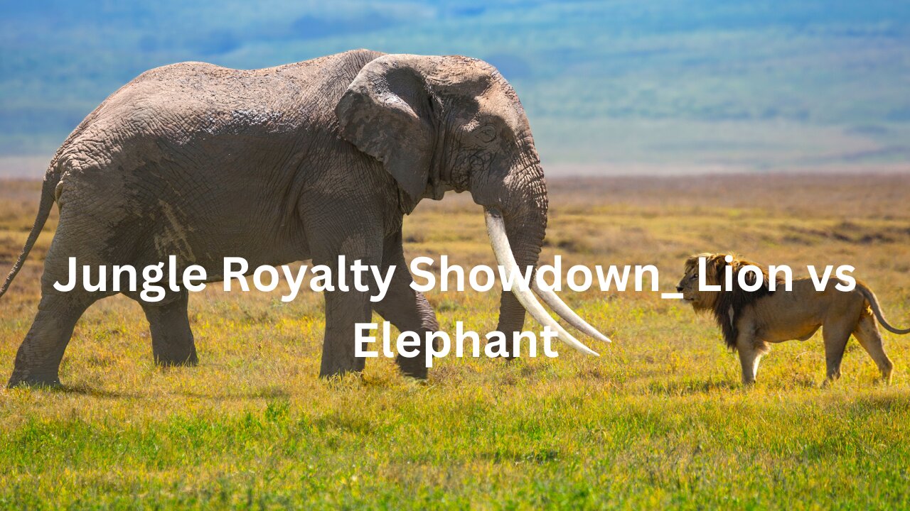 Jungle Royalty Showdown_ Lion vs Elephant