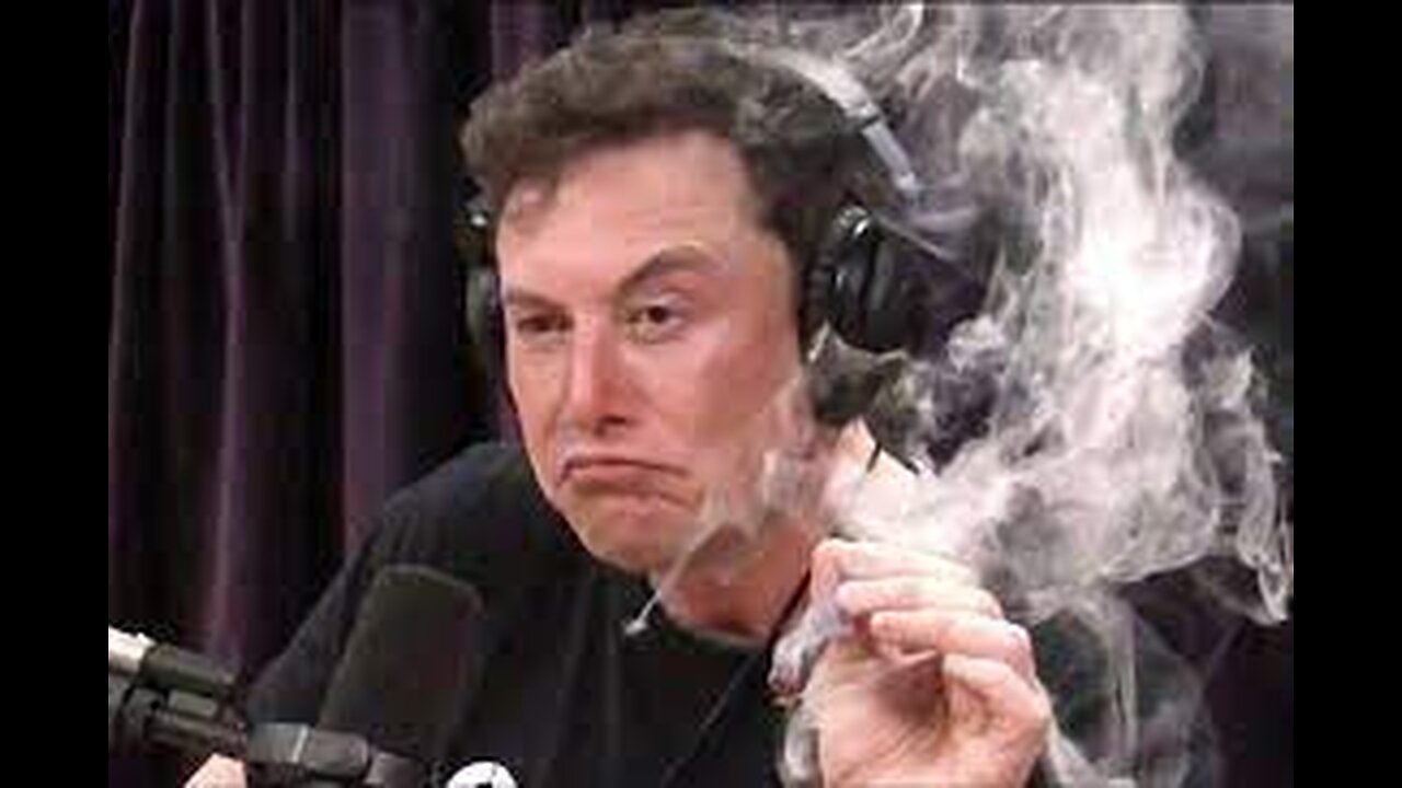 ELON MUSK SMOKIN WEED