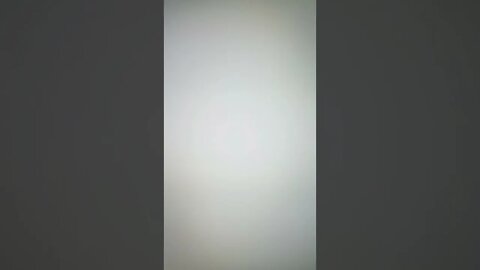 True Freeman Friendship