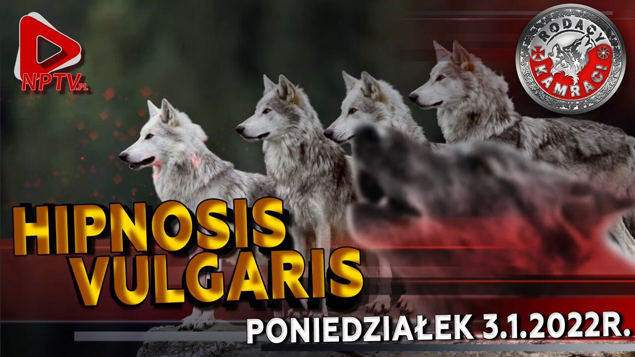 HIPNOSIS VULGARIS - Olszański, Osadowski NPTV (03.01.2022)