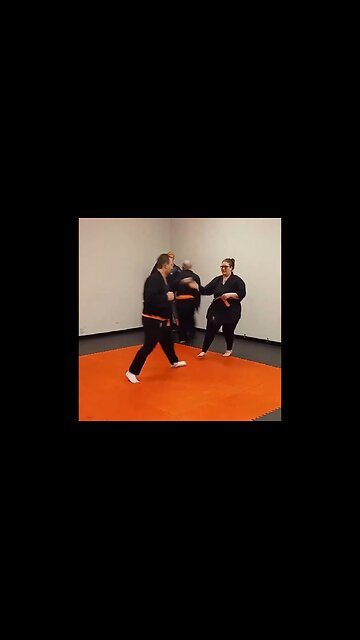 Wait, There's No DEI In Martial Arts!