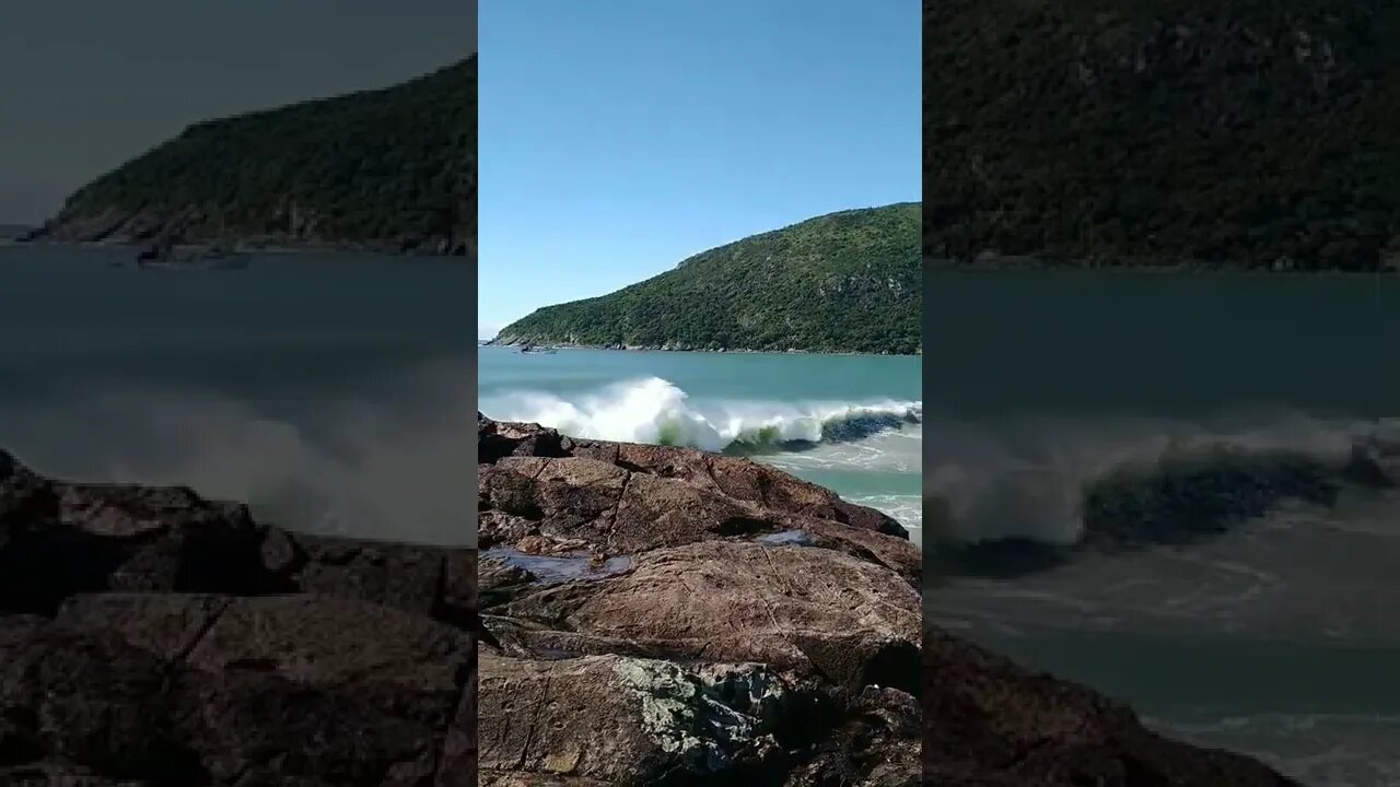 #shorts #floripa #mar #ondas #dialindo