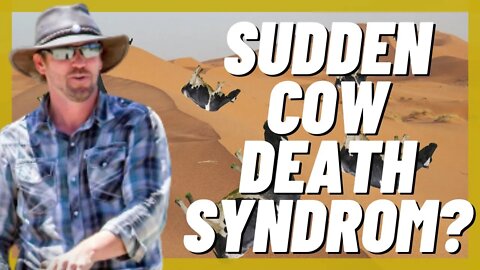 Food Shortages and Cows Dying! Why? What To Do?