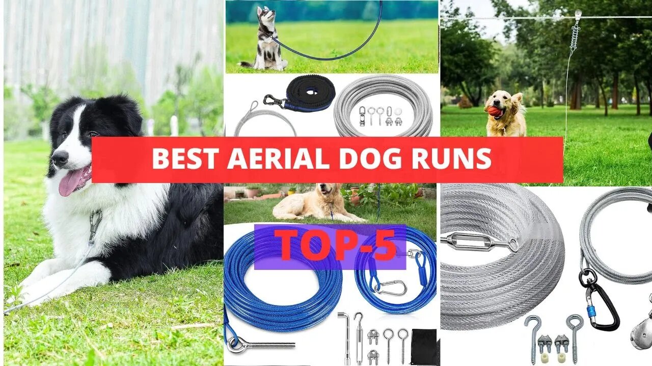 Best Aerial Dog Runs | Aerial Dog Run Toys that Can Improve Your Dog's Agility