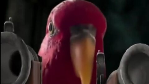 Pirates of the Caribbean red bird meme #shorts