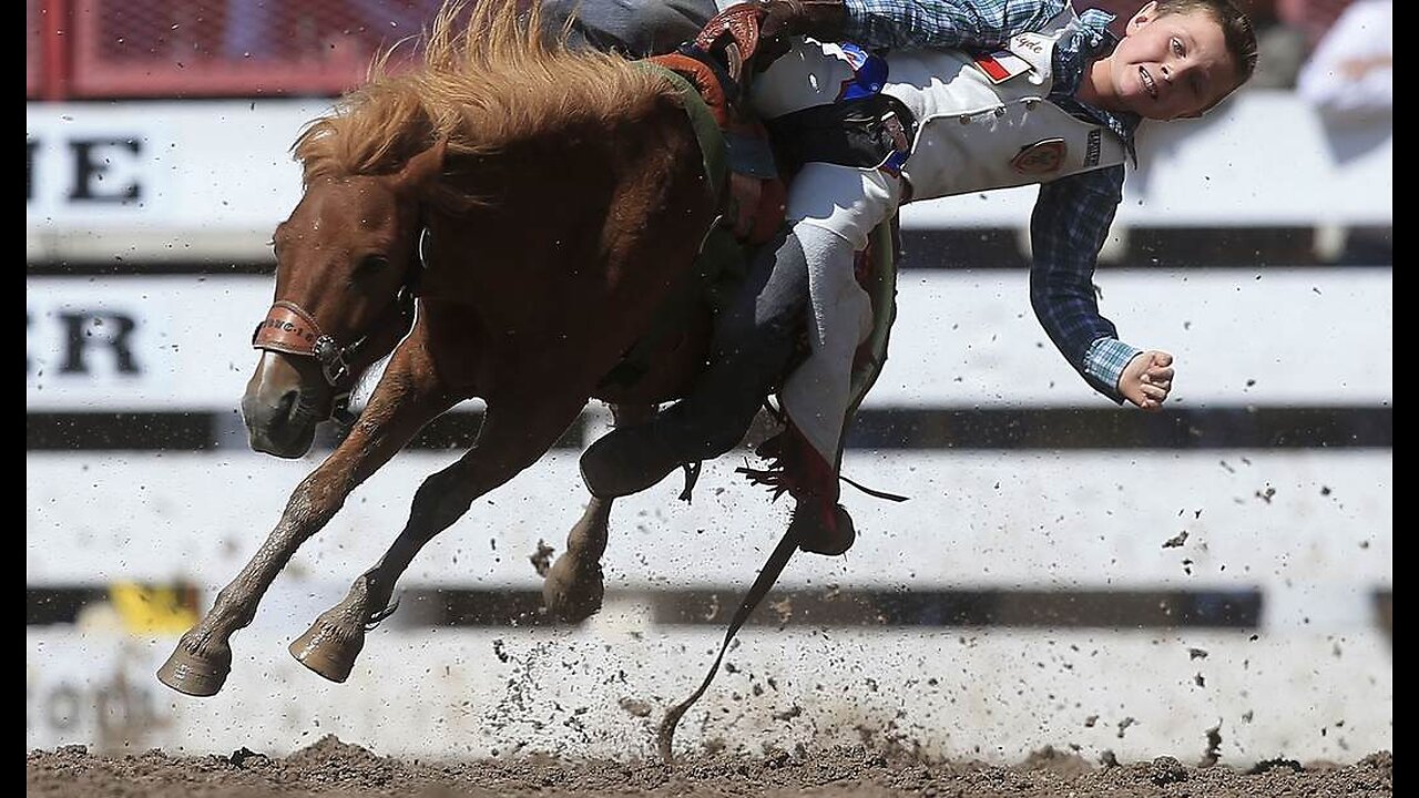 Los Angeles Votes to Ban Rodeos in the City - Because They Have Nothing More Pressing to Do