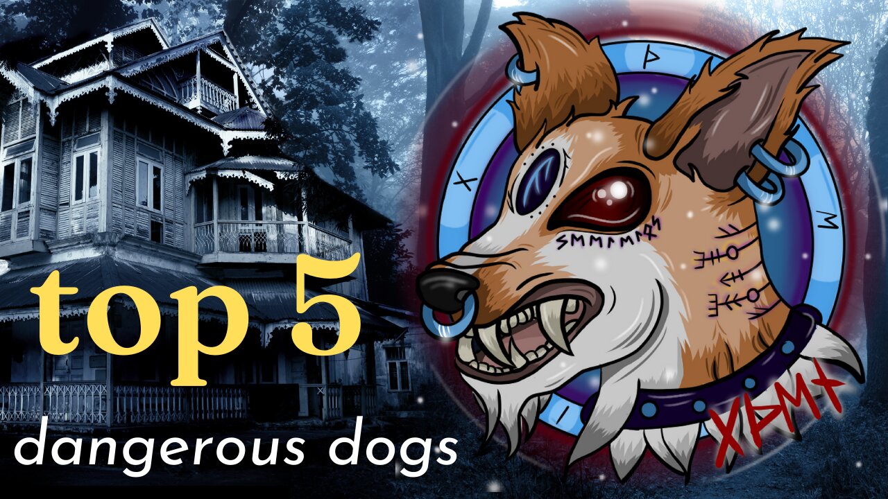 Top 5 dangerous dogs - Exploring the Truth: Top 5 Controversial Dog Breeds Unveiled