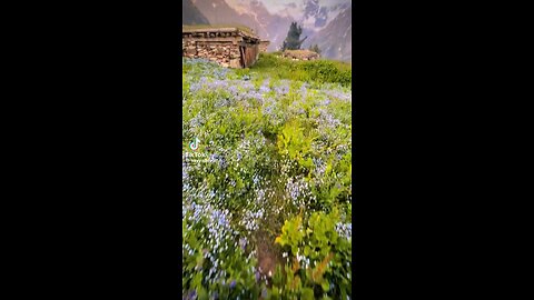 Chukail meadows swat