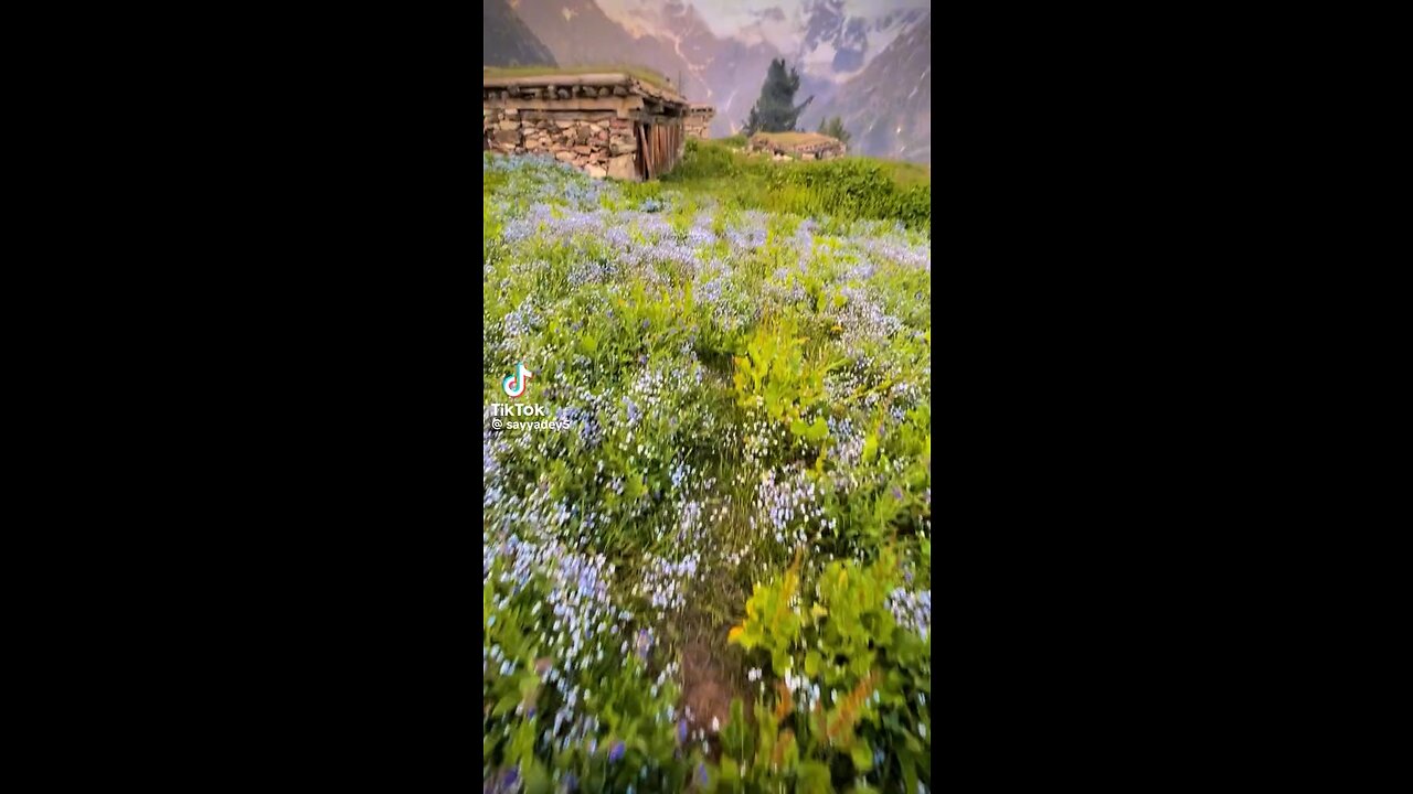 Chukail meadows swat