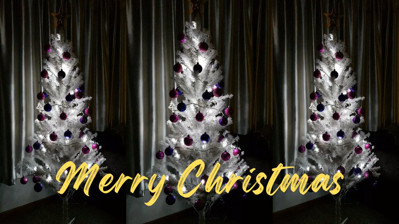 Merry Christmas & A Happy New Year from Amzo & Sarika Singh