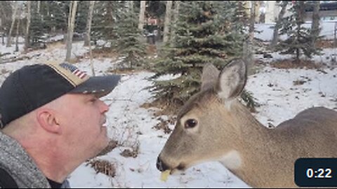 Man Shares Apple With Deer Friend