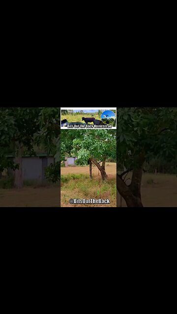 Our New YouTube Channel