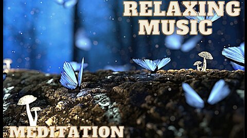 Relaxing Music & Meditation