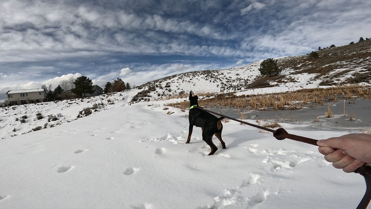 Leo’s first hike