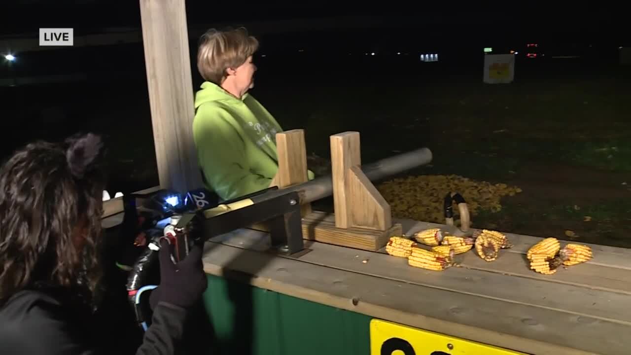 Corn Cannon in Cilton