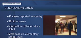 Almost 400 cases in CCSD