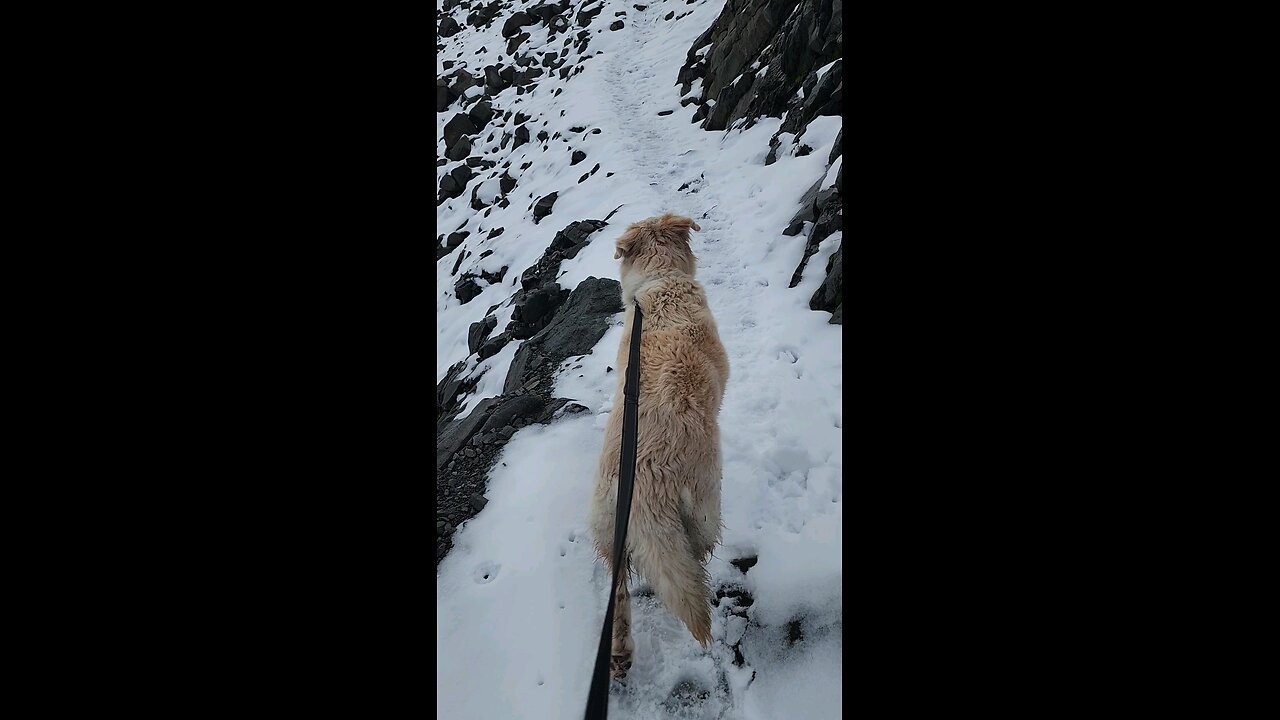 Morning Walks with a View 🏔😍