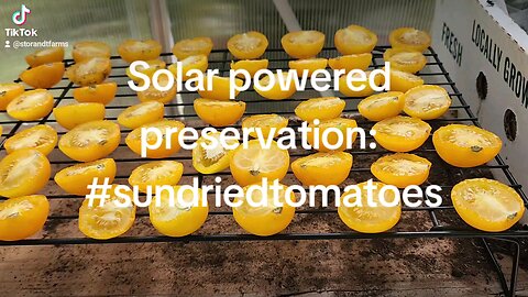 solar powered preservation