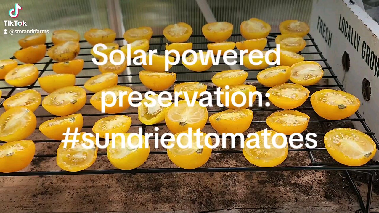 solar powered preservation