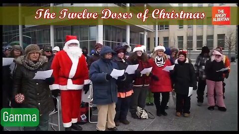 THE 12 DOSES OF CHRISTMAS