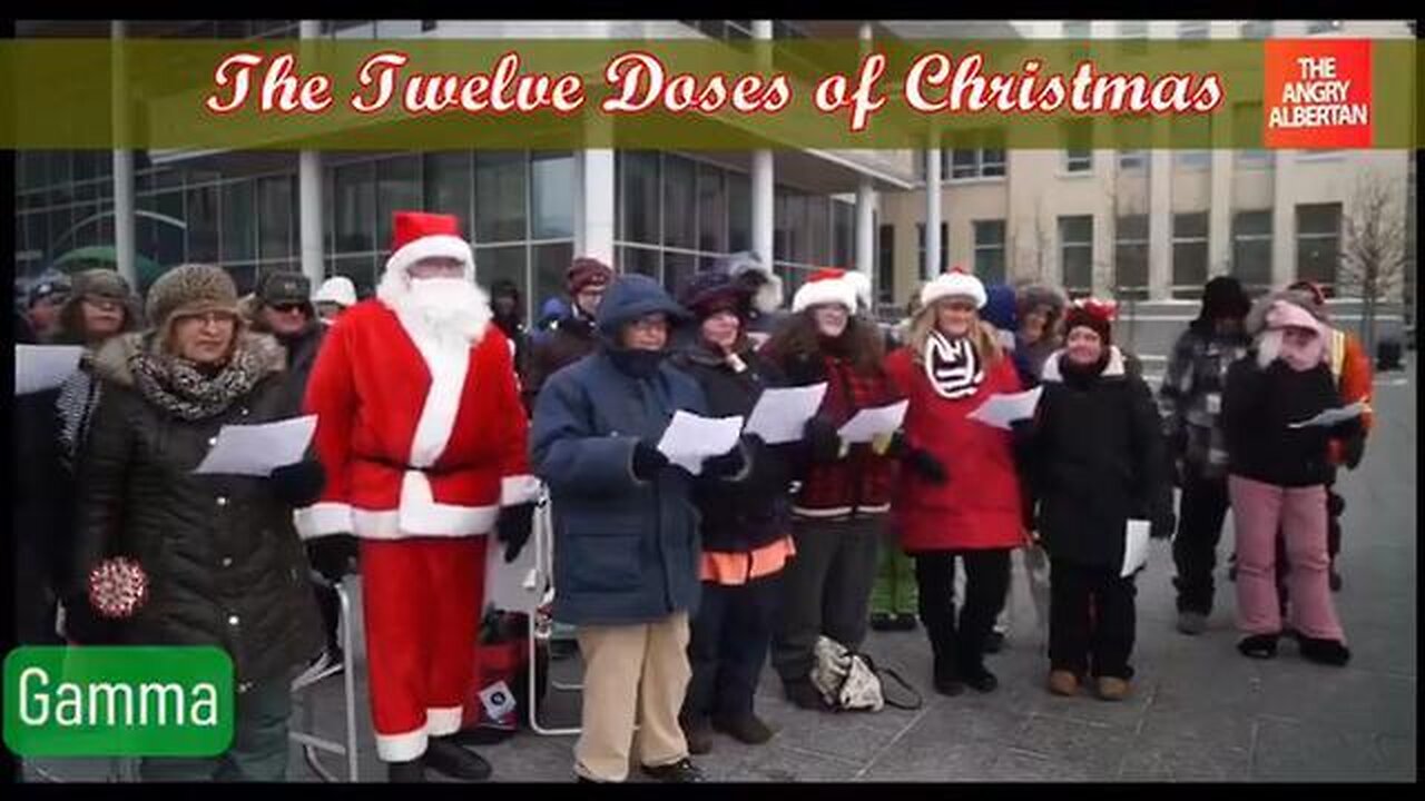 THE 12 DOSES OF CHRISTMAS
