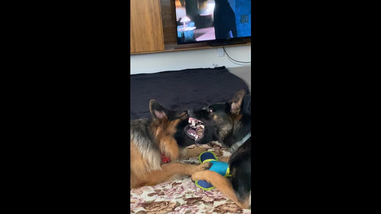 That’s mine. K?!