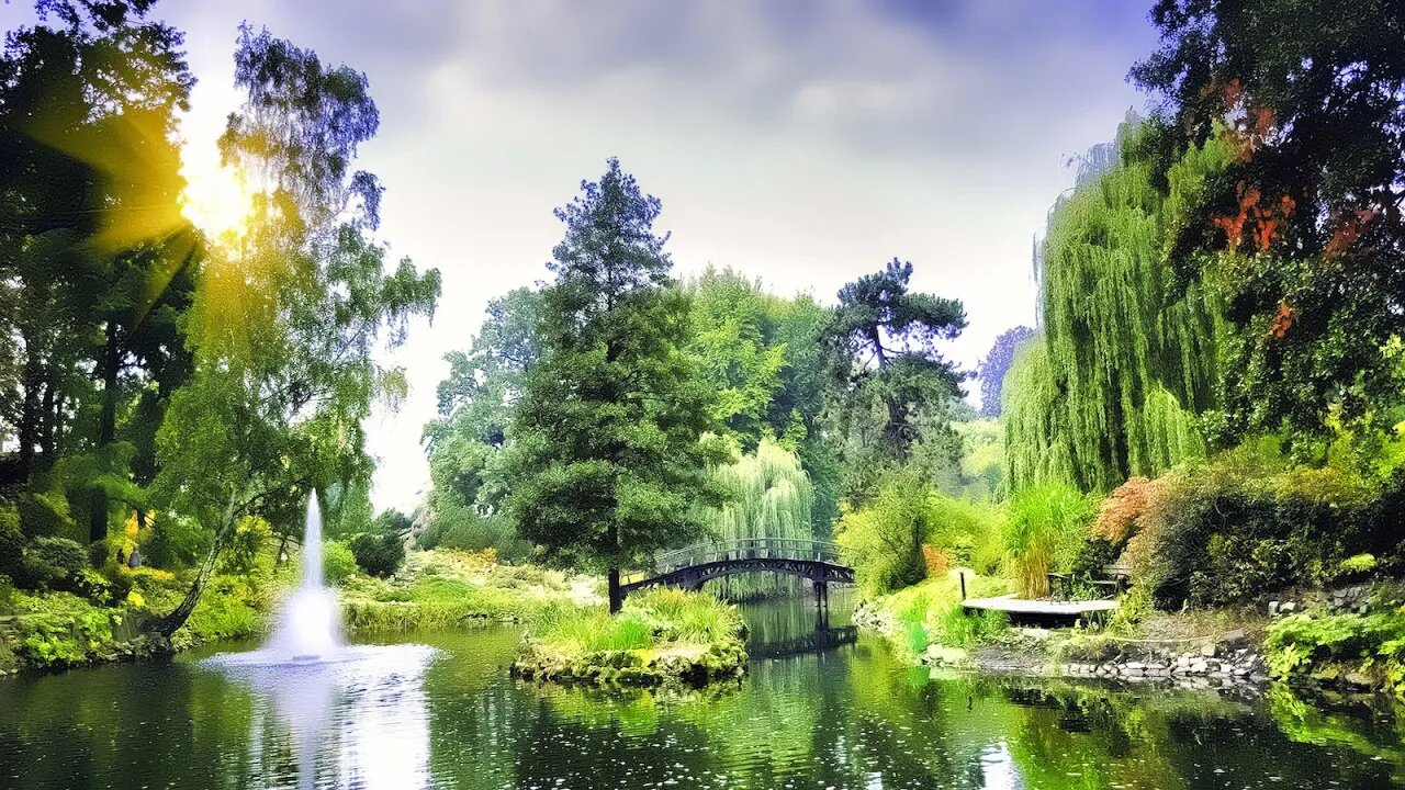 Relaxing Japanese Music - Japanese Garden ★360