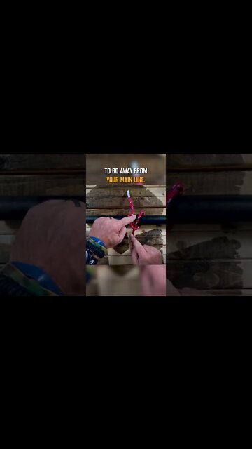 Clove Hitch | Knot #shorts