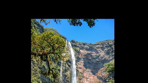 Relax Relaxing Water Sounds of nature Study sleep meditation Sounds of water Bird song.